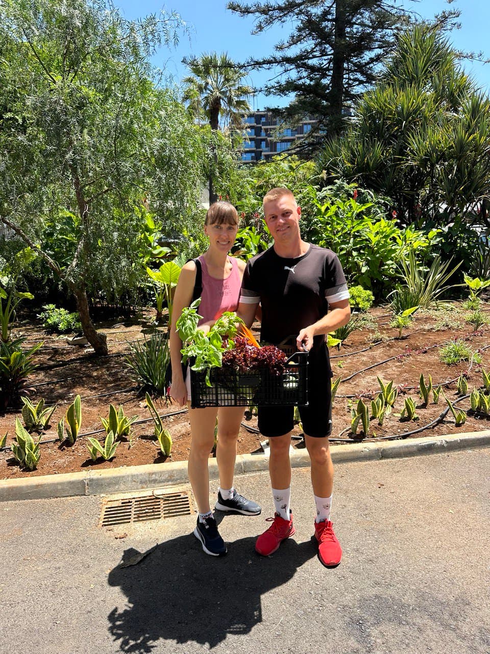Couple with fresh vegetables in garden